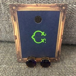 C. Wonder Earrings - NEW
